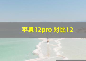 苹果12pro 对比12